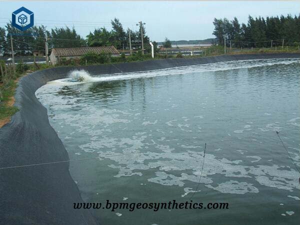 HDPE Impermeable Membrane for Lotus Root Pond Project in Chongqing