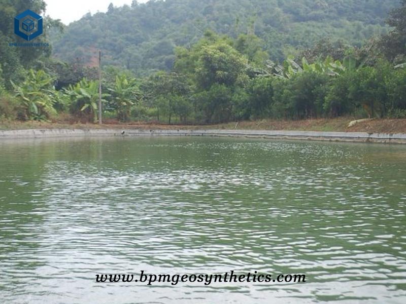 Geomembrane Pond Liner for Fish Farm Project Venezuela