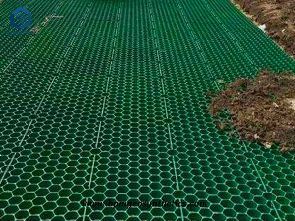 Plastic Grass Grid for Parking Lots in USA