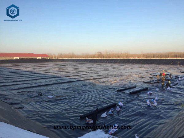 Commercial Pond Liners for Fish Farming Project in Vietnam