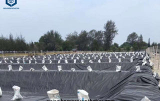 Commercial Pond Liners for Fish Farming in Vietnam