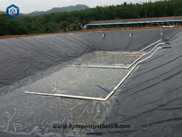Big Pond Liners for Biogas Digester Project in Indonesia