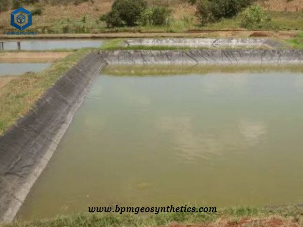 Custom Made Pond Liners for Fish Ponds Project in Bengala