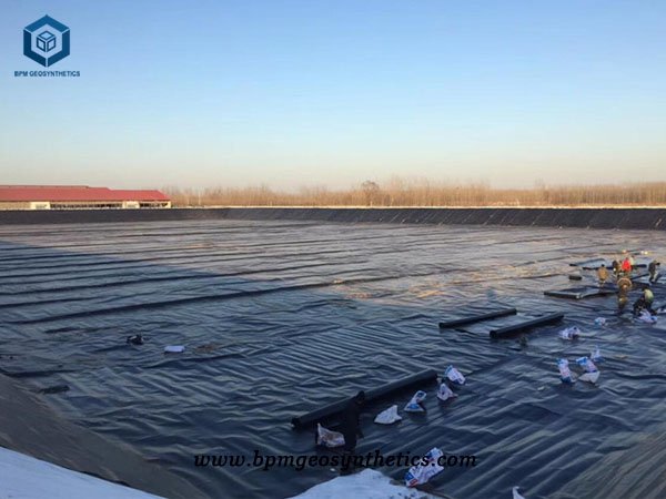 1mm Pond Liner for Fish Farm Project in Indonesia