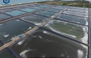 Application of PVC Geomembrane Liner in Chilean Fish Farming Projects