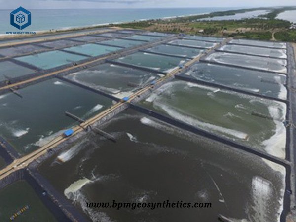 Application of PVC Geomembrane Liner in Chilean Fish Farming Projects