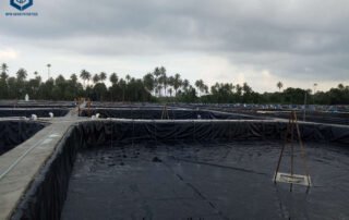 PE Pond Liner for Fish Farm Project in Malaysia