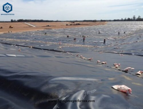 HDPE Pond Liner Canada for Landfill Project
