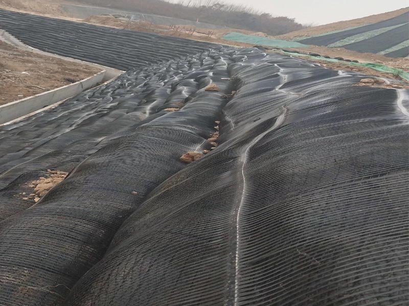 Retaining Wall Plastic Stretch Geogrids for Slope Protection